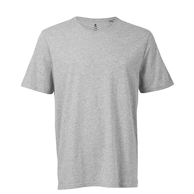 TS Gris
